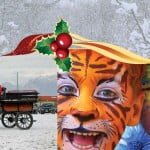 Zorzoi Mercatini di Natale 2017