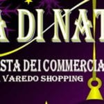 Varedo Mercatini di Natale 2017