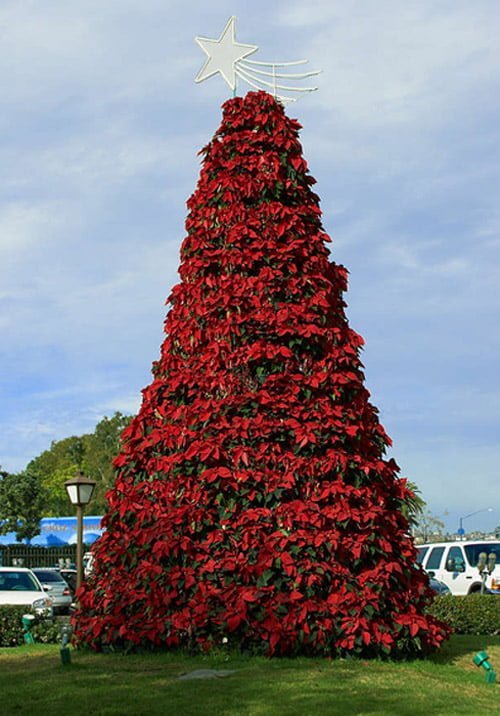 Albero Di Natale Wikipedia.Alberi Di Natale Particolari E Originali A Giro Per Il Mondo