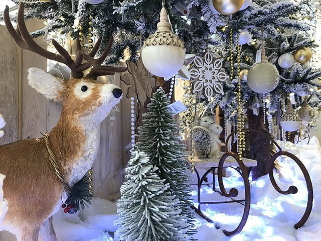 magico natale di toppi