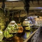 Presepi sull'acqua di Crodo La magia del Natale nel cuore delle Alpi