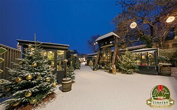 Foresta Natalizia Forst Merano
