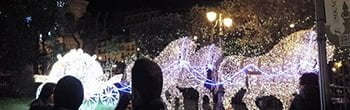 Luminare di Salerno