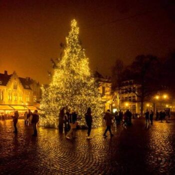 Bruges - Albero di Natale sull'acqua illuminato