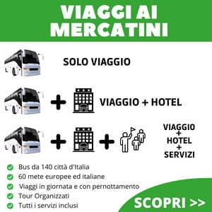 Tour in Bus (Magellano)